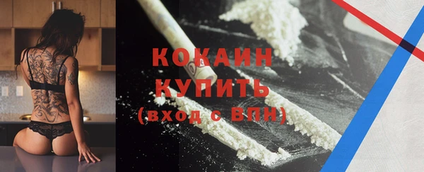 a pvp Горняк