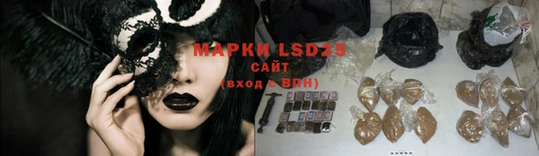 крисы Вязьма