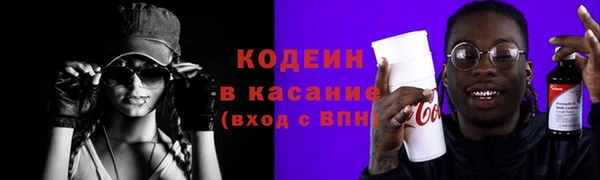 крисы Вязьма