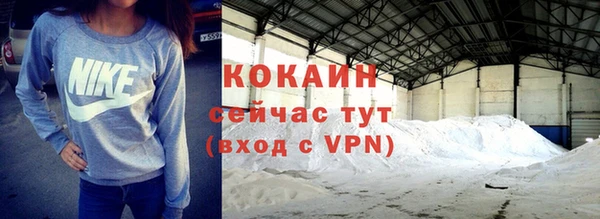 крисы Вязьма