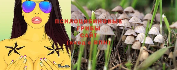 крисы Вязьма