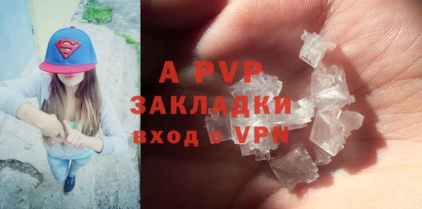 крисы Вязьма