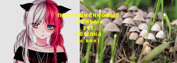 крисы Вязьма